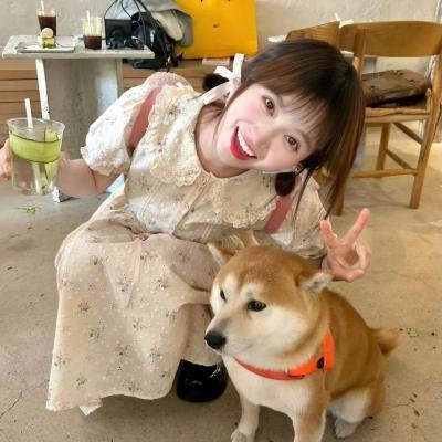 三只小猪